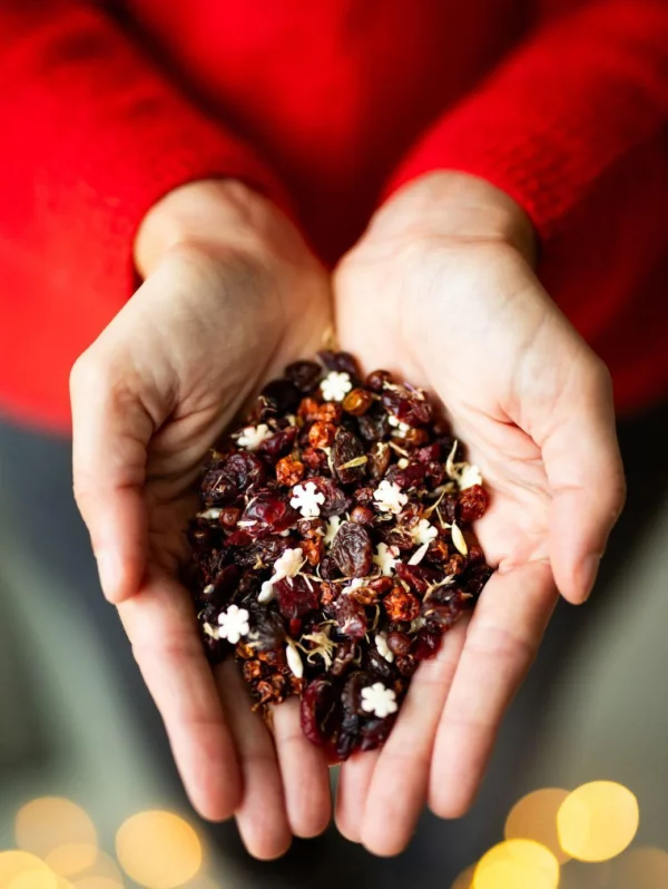 Infusion de fruits cannerbe & orange - Féérie d'Hiver