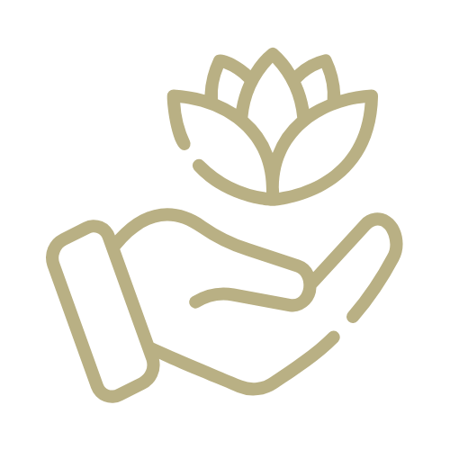 Pictogramme_Programme_Summer_Body (1)